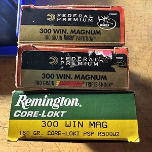 IMG_7995.jpeg