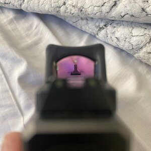 IMG_2320.jpeg