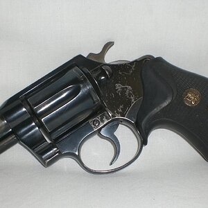 colt1.JPG