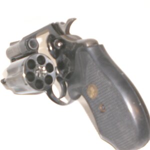 colt4.JPG
