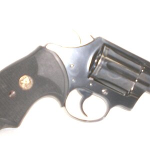 colt3.JPG