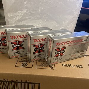 4B088E37-7932-4A50-B8CB-E0151D624150.jpeg