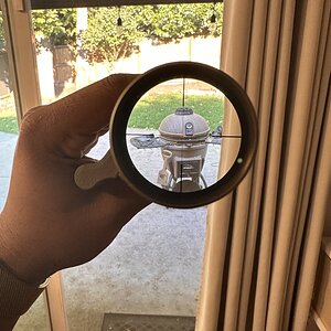 IMG_1776.jpeg