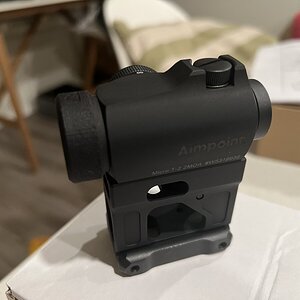 IMG_3810.jpeg