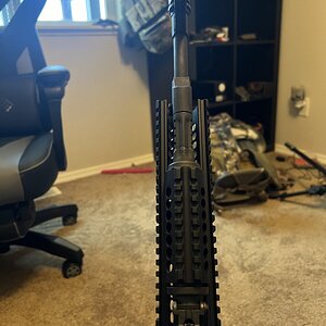 IMG_9868.jpeg
