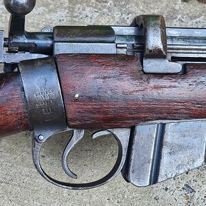 smle2.jpg