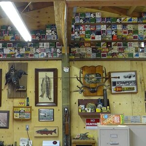 DSC00001 (1).JPG