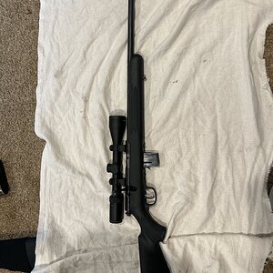 IMG_1513.jpeg