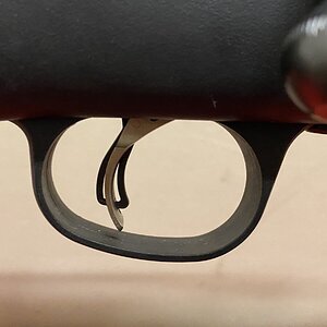 IMG_8864.jpeg
