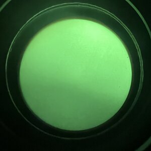 IMG_5566.jpeg