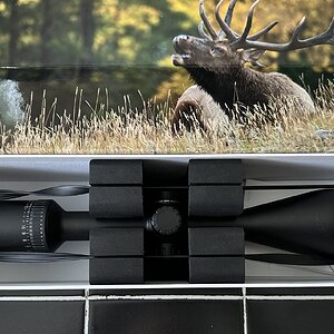 Zeiss HD5.1.JPG