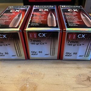 IMG_1497.jpeg