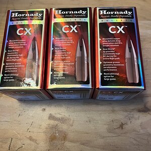 IMG_1496.jpeg