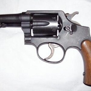 SampW-1 (1).jpg