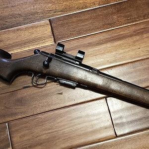 Savage22Hornet 01.jpg