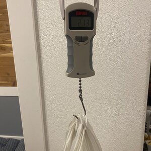 IMG_7880.jpeg