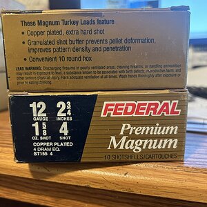 IMG_2016.jpeg
