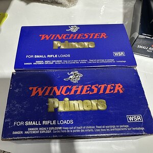 IMG_2285.jpeg