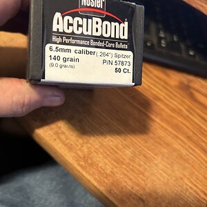 IMG_2063.jpeg