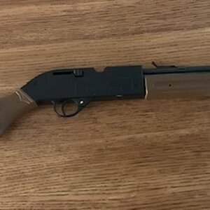 43x-1.jpg