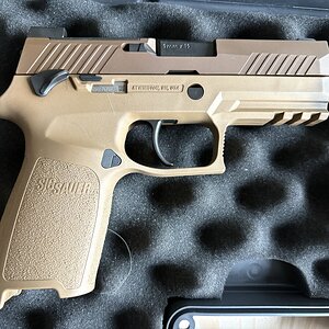 p320-2.JPG