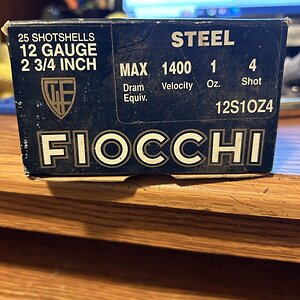 IMG_2175.jpeg