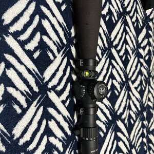 IMG_8271.jpeg