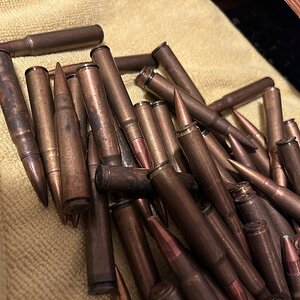 IMG_2232.jpeg