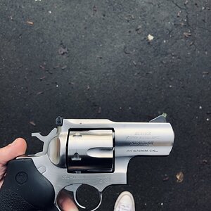 IMG_1863.jpeg