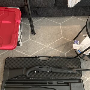 IMG_1063.jpeg