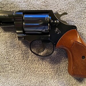 image1.jpeg