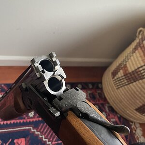 52796045-1AE6-452B-9544-8C6842B53E76.jpeg