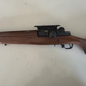 Mini 14 Profile 2.jpeg