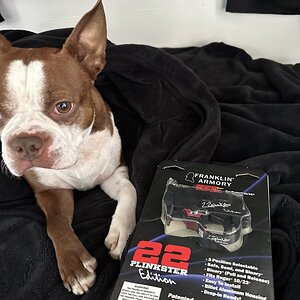 IMG_2098.jpeg