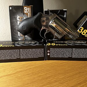IMG_7189.jpeg