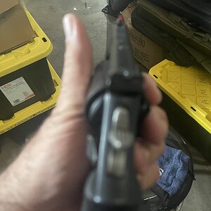 IMG_6884.jpeg