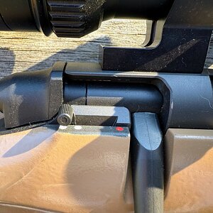 IMG_6689.jpeg