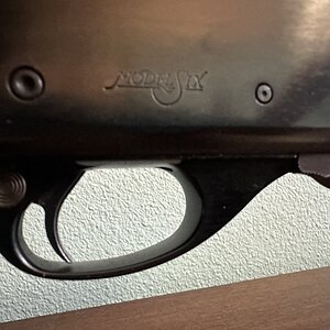 IMG_6633.jpeg