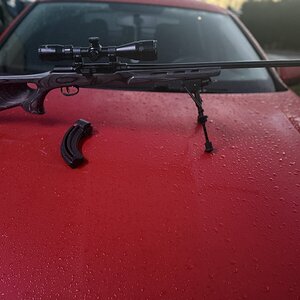 IMG_0855.jpeg