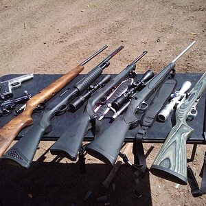 guns1_zpsc24e8ad8.jpg