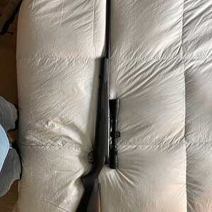 IMG_5709.jpeg