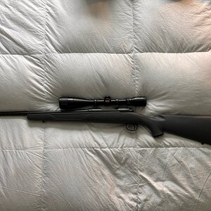 IMG_5717.jpeg