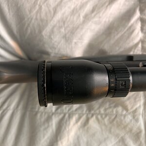 IMG_5721.jpeg