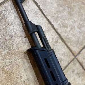 IMG_7780.jpeg