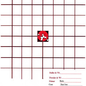 CCI Stinger .22rimfire.jpg