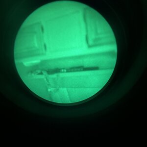 IMG_9339.jpeg