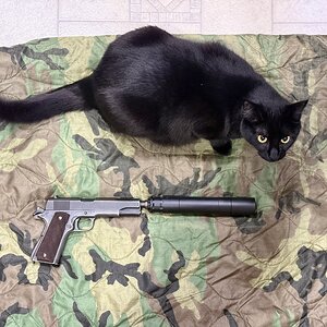 IMG_3159.jpeg