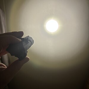 IMG_2041.jpeg