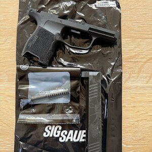 sigP365_2.jpg