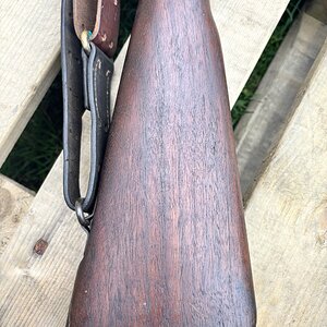 IMG_5946.jpeg